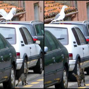 L'instinct du chasseur !