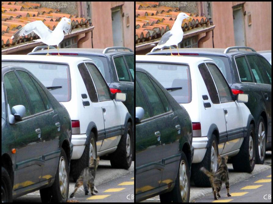 L'instinct du chasseur !