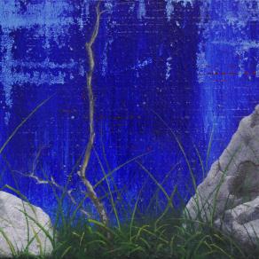 LANDSCAPE'S FRAME 2012