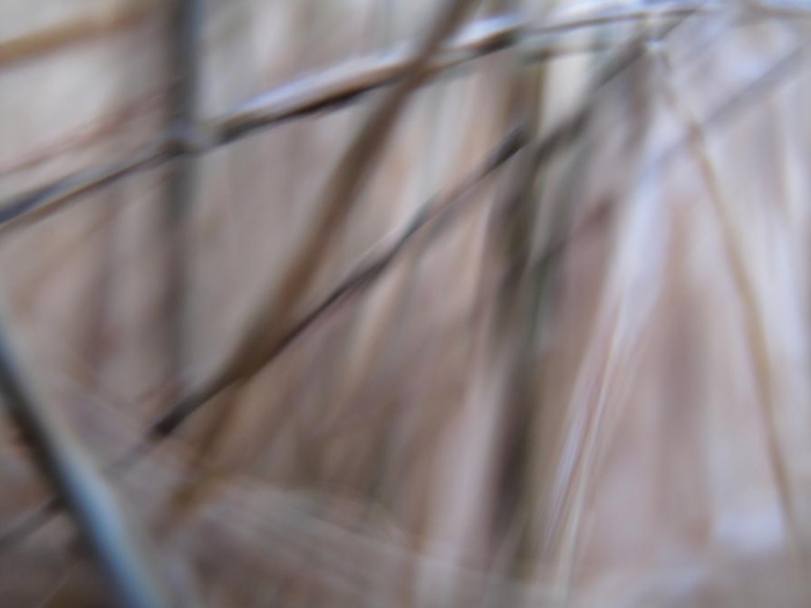 Felice di essere tornato