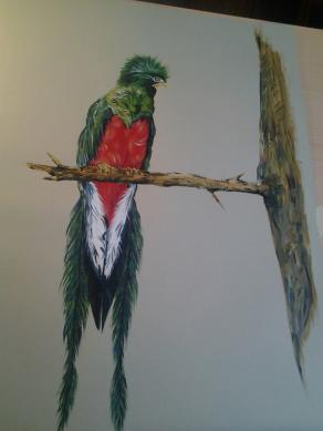 Quel che resta del paradiso