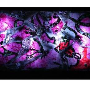 Il Colore della nostra Anima