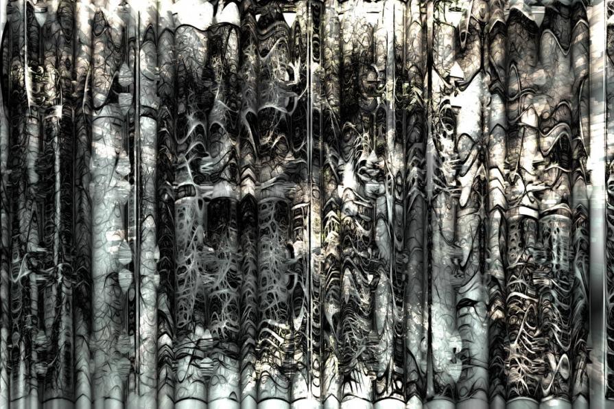 The glasses of my life to clean