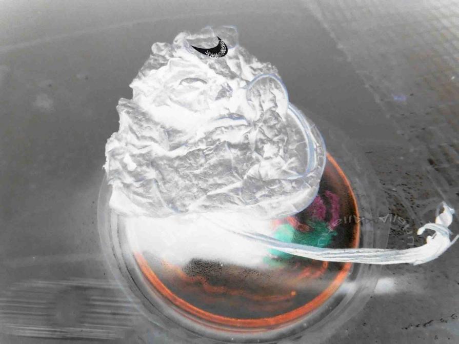 Images of death, the battle for Kobane