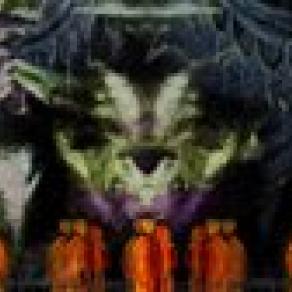 nun über diese mauern rede ich fortwährend