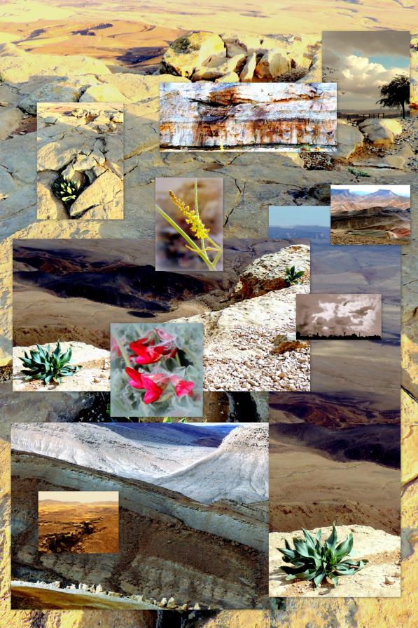 Makhtesh Ramon - feb.15