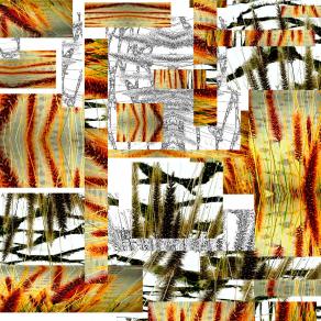 SprinG @193f CollaGE