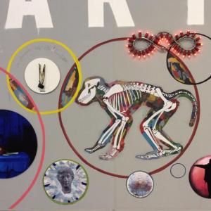 Satelliti, INSIEME opera del MAAM per CITTADELLARTE Fondazione Pistoletto, via Serralunga 27, Biella, a cura di Giorgio de Finis