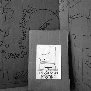 Zirro alla seconda - scatto di Zirro Desirèe