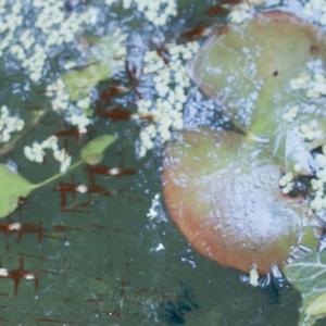 SKYLIGHTS, NIGHTLIGHT installation project 2017