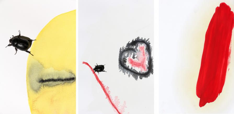 "Una mattina Gregor Samsa,destandosi da sogni inquieti,...."