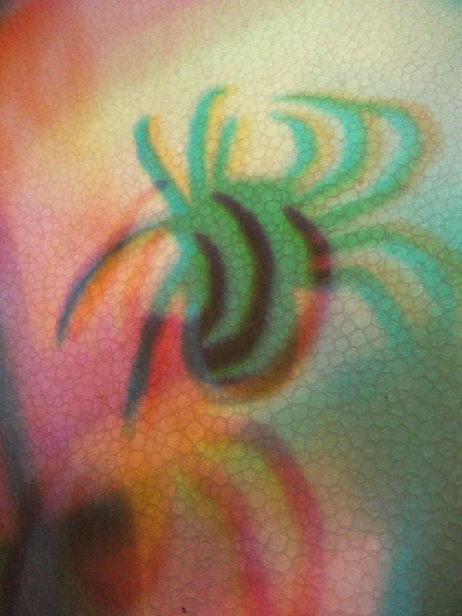 I colori della biodiversità -2015