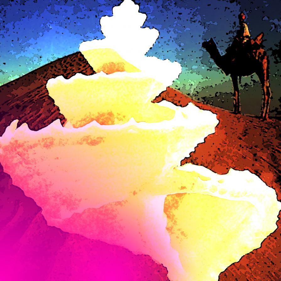 Se ne sono andate dalla loro terra natia !!!