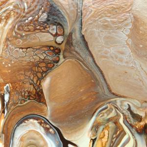 Eye of the Tiger - Close Up 2