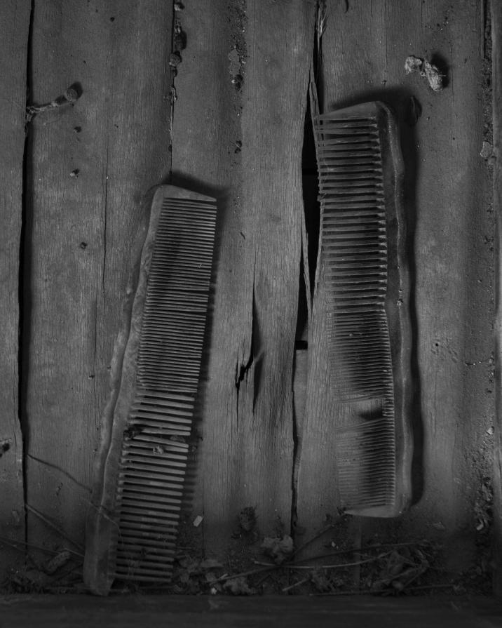 Senza titolo dalla serie 