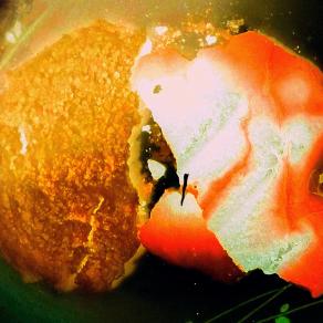 Respiro dell'universo