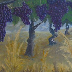 La vigna a fine estate