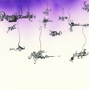 The imaging of the survival and sprout of the neutron The imaging of the survival and sprout of the neutron