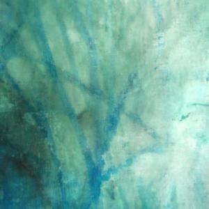 Alberto Zamboni, Deep