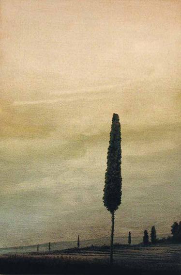 Taste Tuscany Taste Tuscany