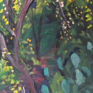 Dialogo con la Natura- oltre i 16:9