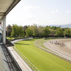 primo premio factory athena per le arti contemporanee