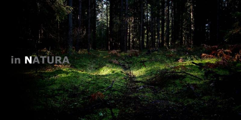 IN NATURA