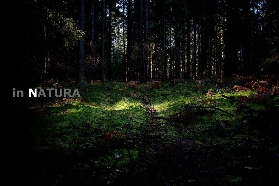 IN NATURA