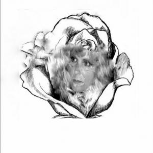 GZ-BASEL.COM International fair of contemporary art. La Sibilla di Basilea 