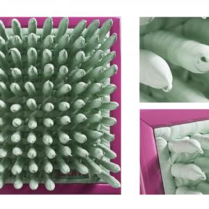 Affordable Art Fair - Luca Moretto Affordable Art Fair - Luca Moretto