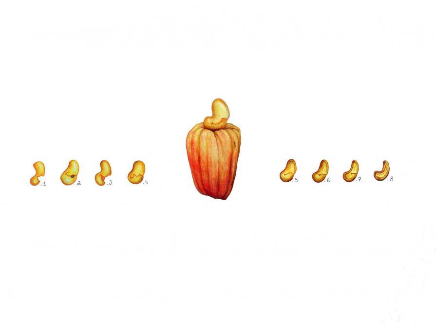 Caju, Rio de Janeiro