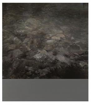 C°.12° 15' E. 4°.9 C°.12° 15' E. 4°.9