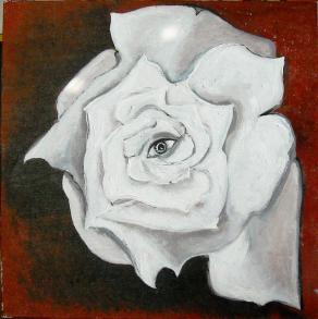 Lo sguardo della rosa bianca