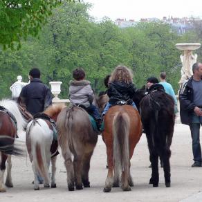 Les petits cavaliers