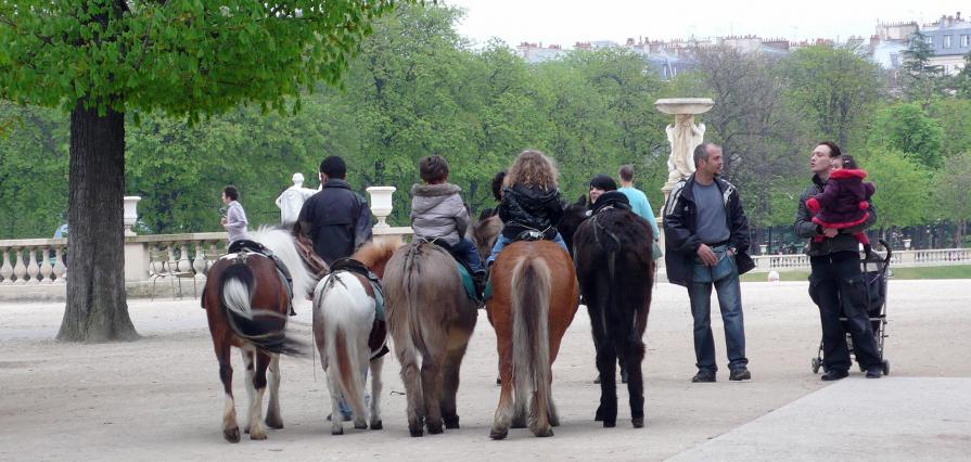 Les petits cavaliers