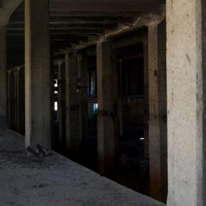 FATALITA' IN FABBRICA 