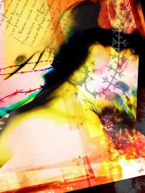 Omaggio a Patrizia Valduga