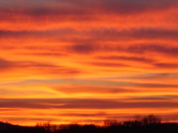 NATURE: THIS IS MY GOD!