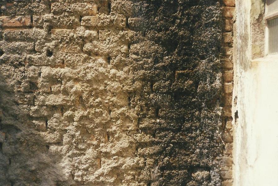 miracle in captivity 2