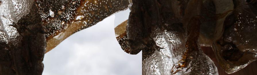 The hill, collina The hill, collina