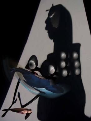 The light from the darkness