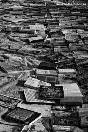 "Distesa Letteraria"