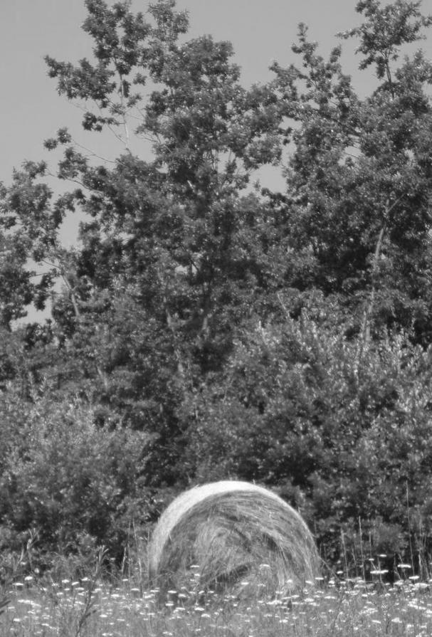 ...I VIAGGI DI TANYA (66)... 