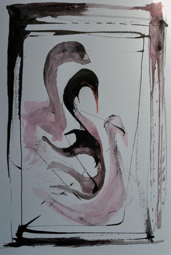 I tre cigni - The three swans I tre cigni - The three swans