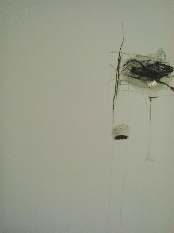 Nido con ragno grosso - Tecnica mista su carta 2014