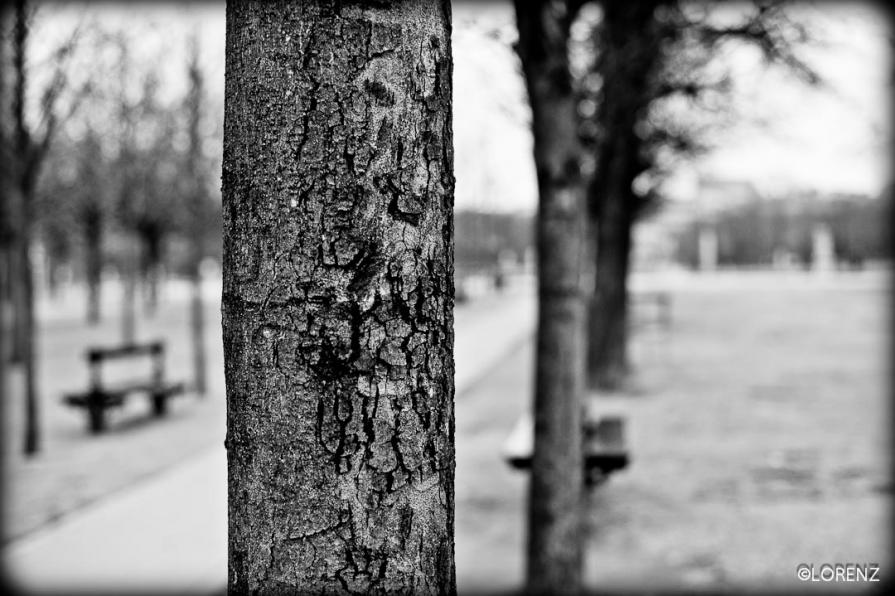 Jardin du Luxemburg-Paris-3
