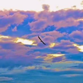 l'occhio  ritrae quello che vede, ma non conosce il cuore