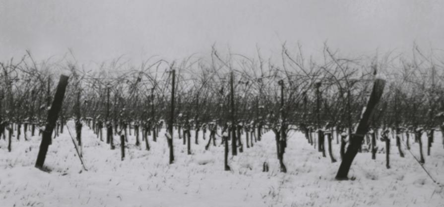 The last summer / II. Travail Spirituel