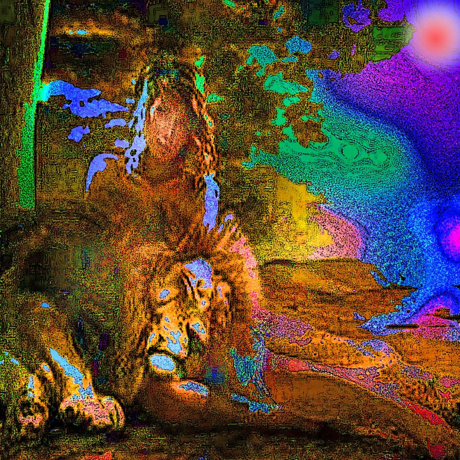 . . . DOVE TUTTO PUO' ACCADERE !!! . . . 