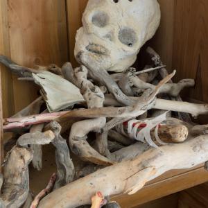 Gli uomini sono stupidi Gli uomini sono stupidi